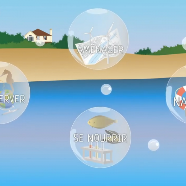 Découvrez les métiers de la mer grâce à un MOOC