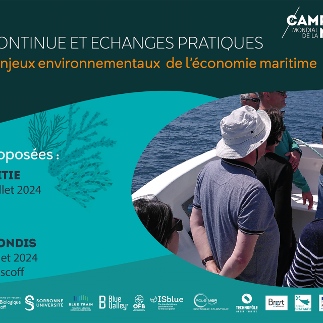 Formation "Comprendre les enjeux environnementaux de l'économie maritime" 2024