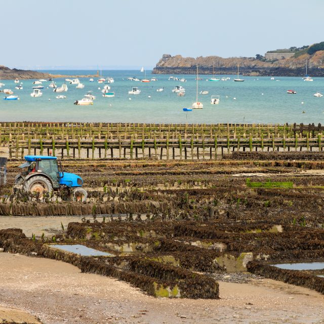 Focus sur le master "Economie appliquée à l'agriculture, la mer et l'environnement (E2AME)"