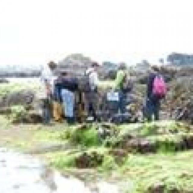 Stage "Ecologie marine : typologie des habitats benthiques littoraux"