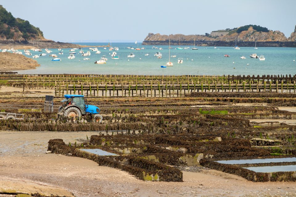 Focus sur le master "Economie appliquée à l'agriculture, la mer et l'environnement (E2AME)"