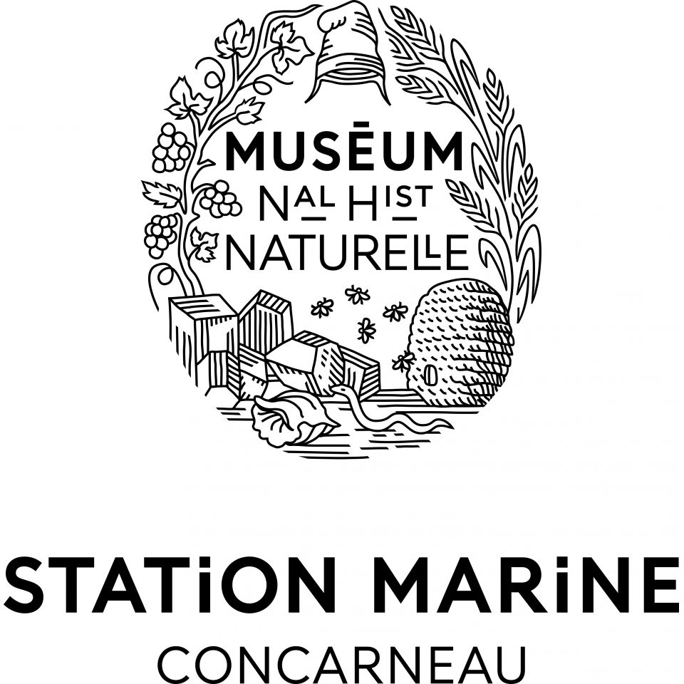 Station marine de Concarneau